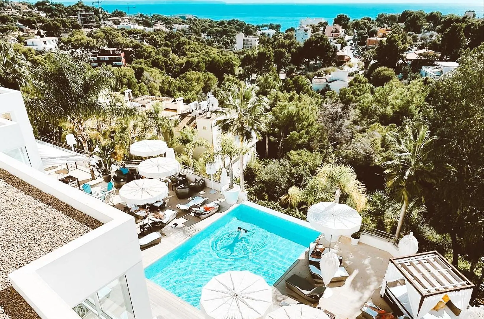 Portals Hills Boutique Hotel Portals Nous   Portals Nous (Mallorca)